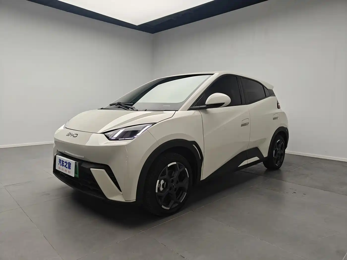 BYD Seagull 2025 305km Freedom