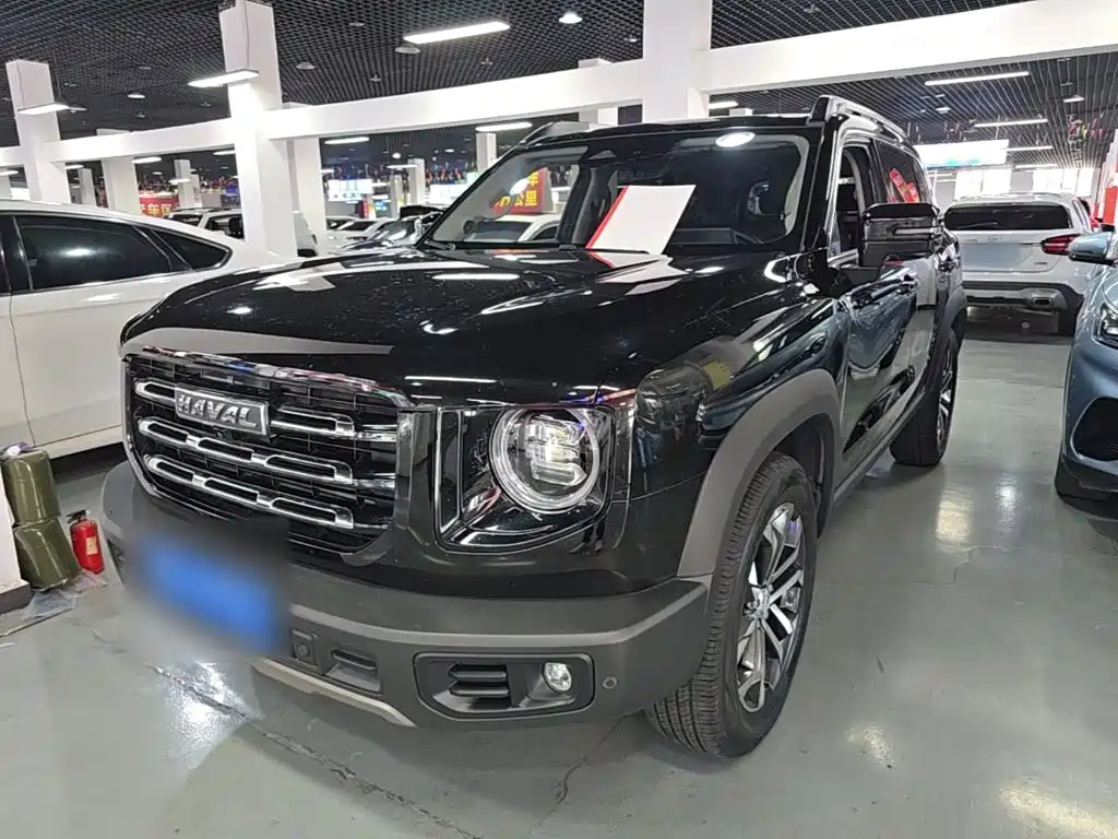 Haval Big Dog 2021 1.5T DCT 2WD Border Collie Edition