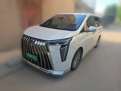 Trumpchi M8