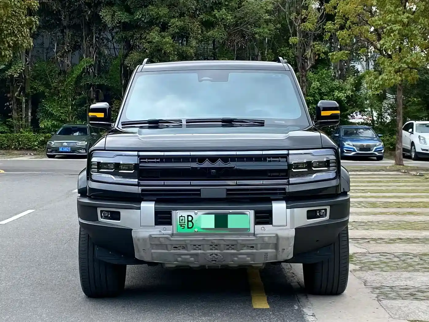 FANG CHENG BAO LEOPARD 5