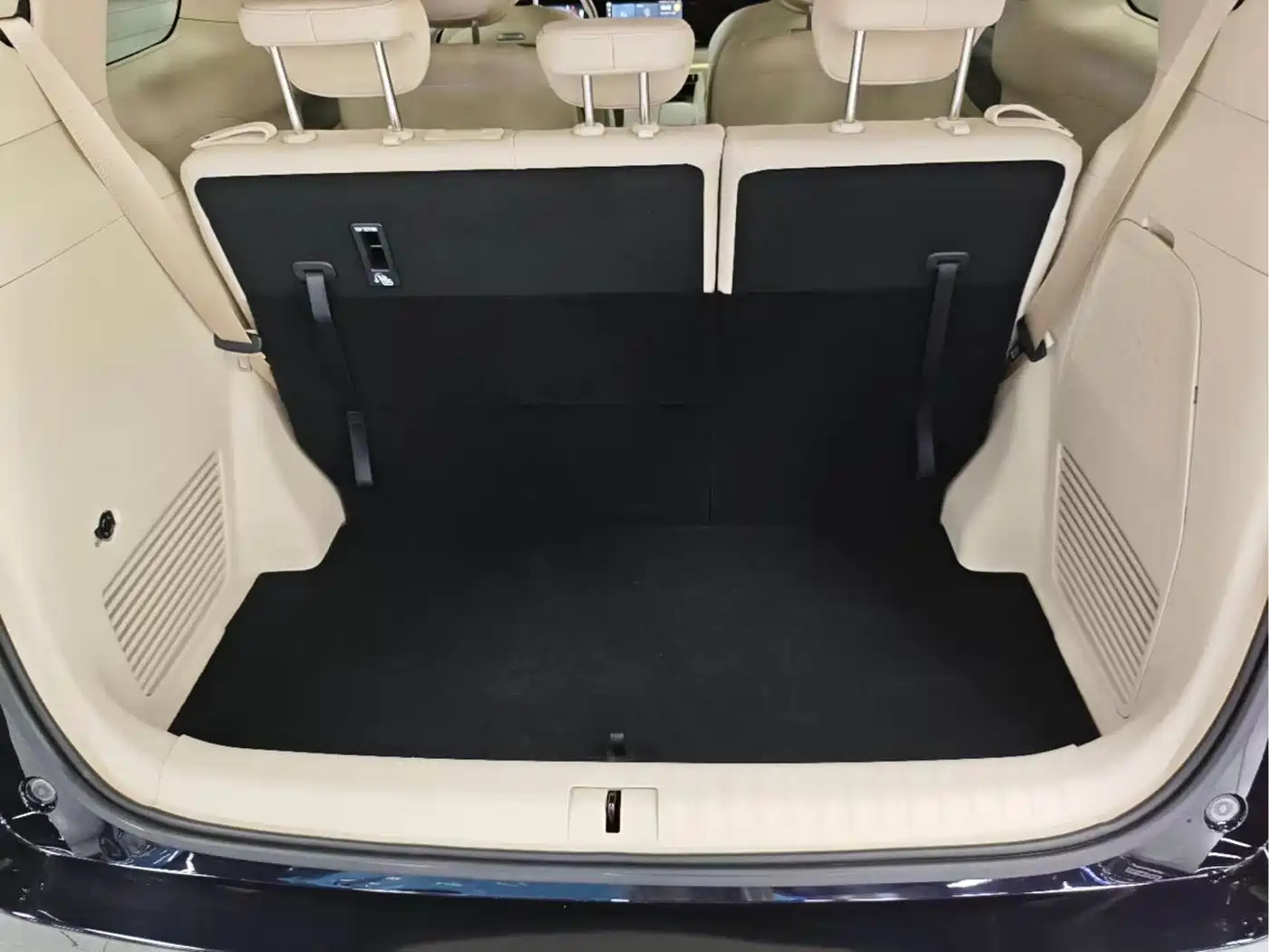 Voyah Auto Voyah Dreamer 2024 EV Ultra Long Range Flagship Edition фото 13