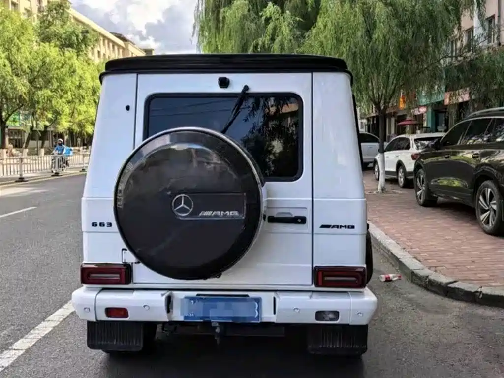 Mercedes-Benz G-Class 2016 G 500 фото 3
