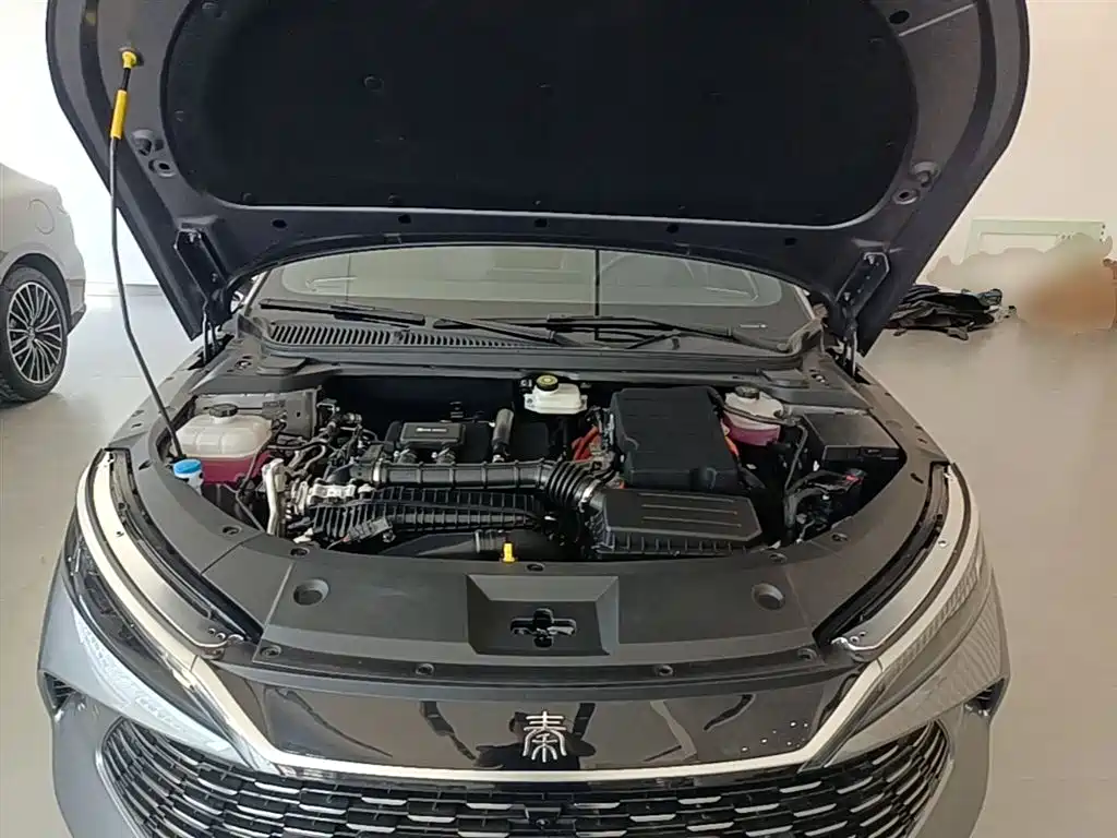 BYD Qin L 2025 DM-i Smart Drive Edition 120KM Surpassing фото 20