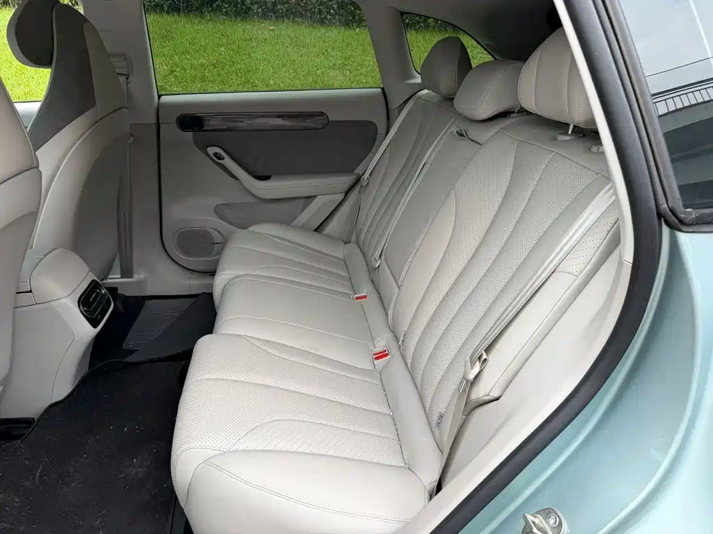 Leapmotor C11 2022 2021 Model Premium Edition