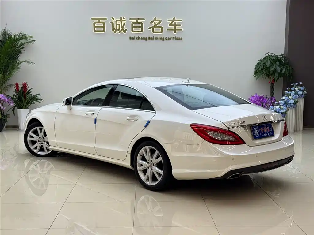 Mercedes-Benz CLS 2012 CLS 300 CGI фото 7