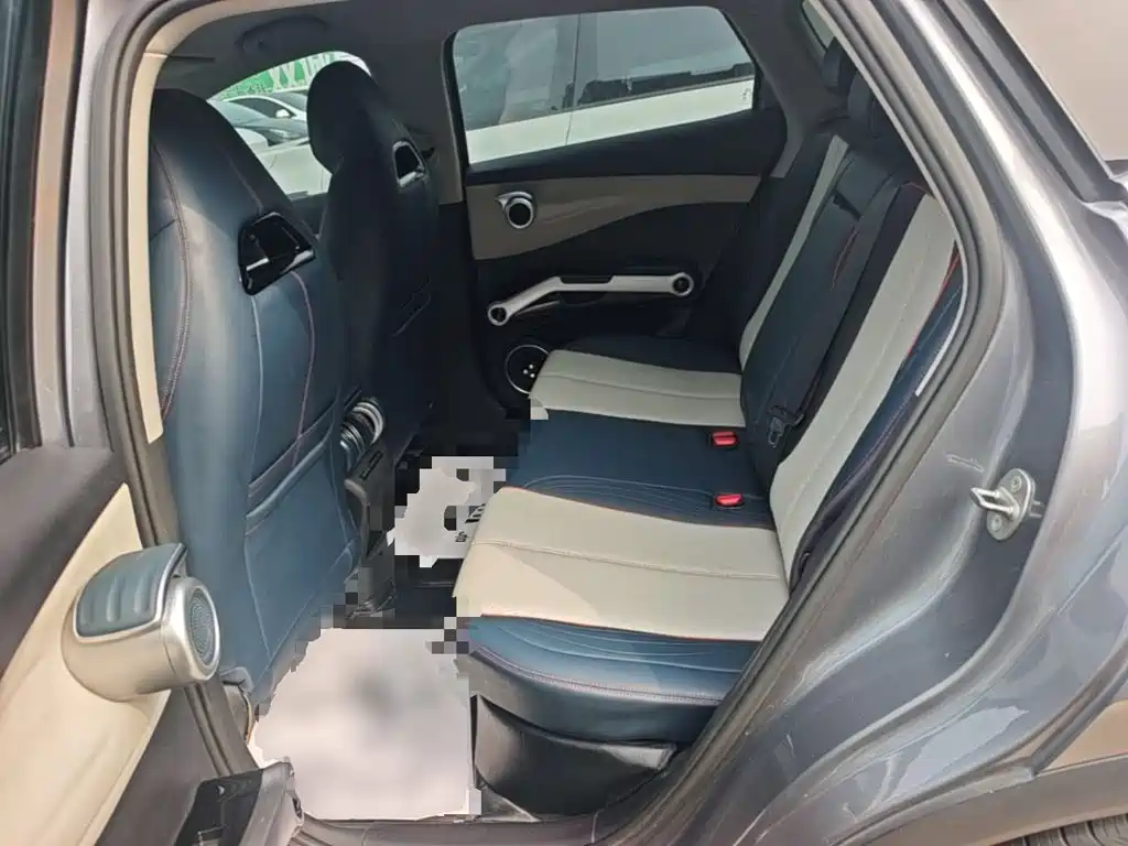 BYD Yuan PLUS 2022 2022 510KM Premium