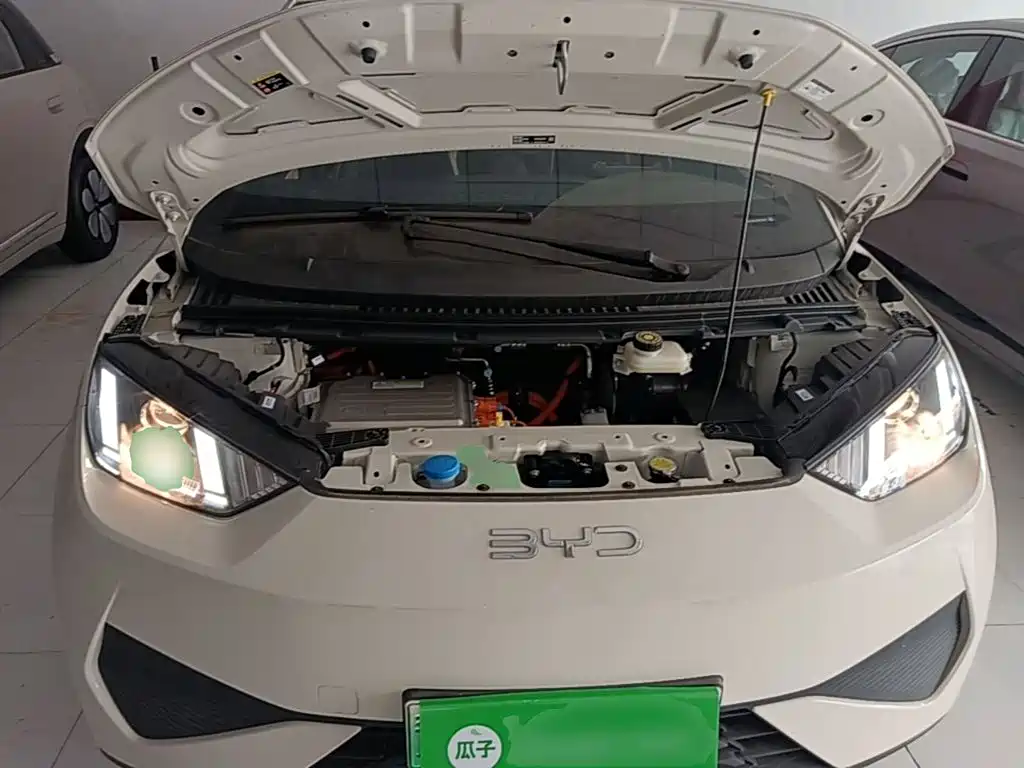 BYD Seagull 2026 2025 Smart Drive Edition 305km Vitality Version