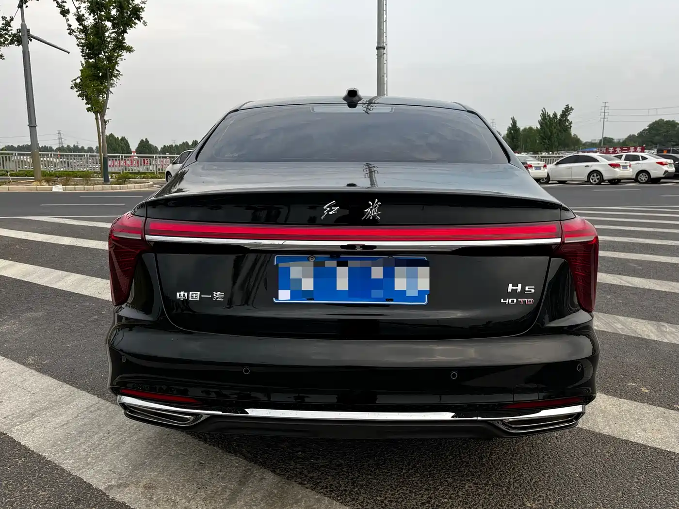 Hongqi H5 2025 2.0T Automatic Flag Celebration 500,000 Units Anniversary Edition фото 8
