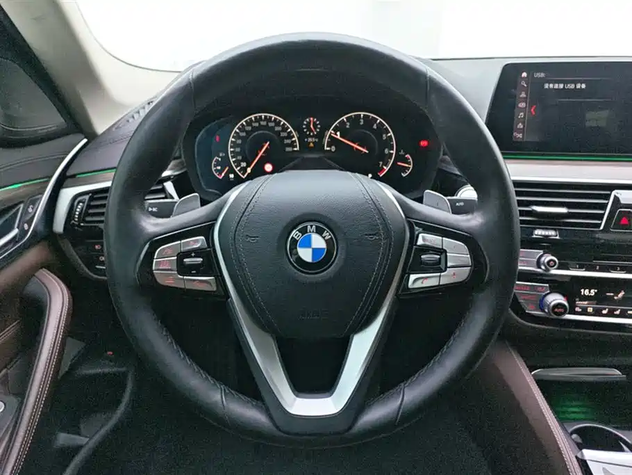 BMW 5 Series 2019 530Li Premium Luxury Package фото 15