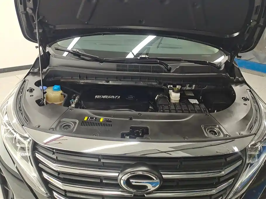 GAC Trumpchi Trumpchi M8 2023 Leading Series 390T Premium Edition фото 10