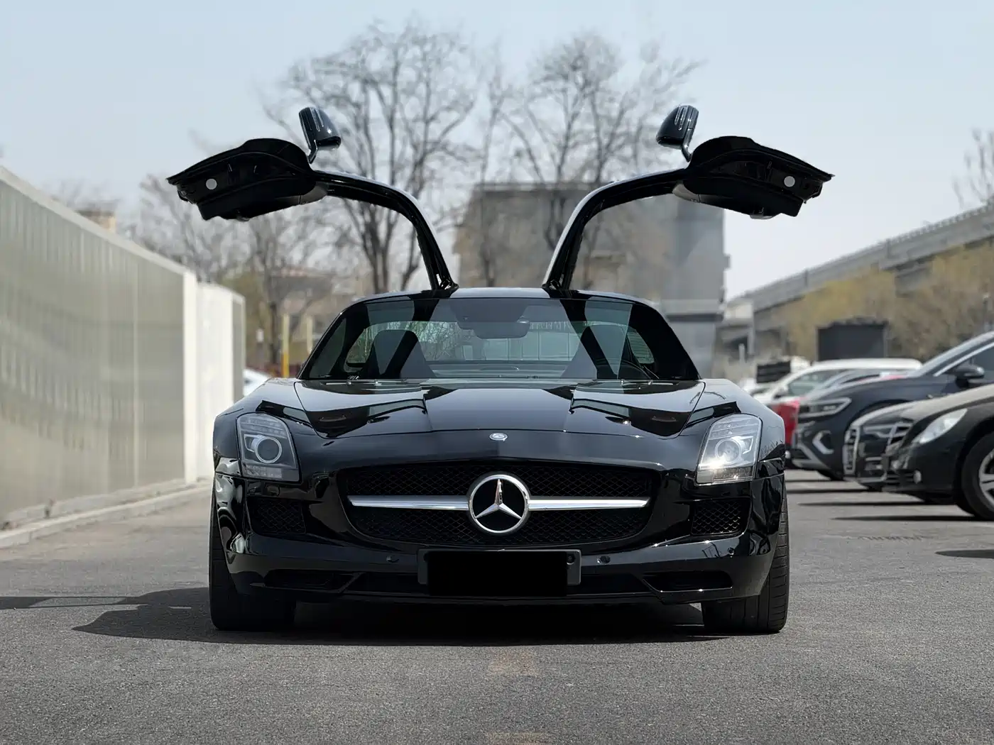Mercedes-Benz SLS AMG 2011 SLS AMG фото 2