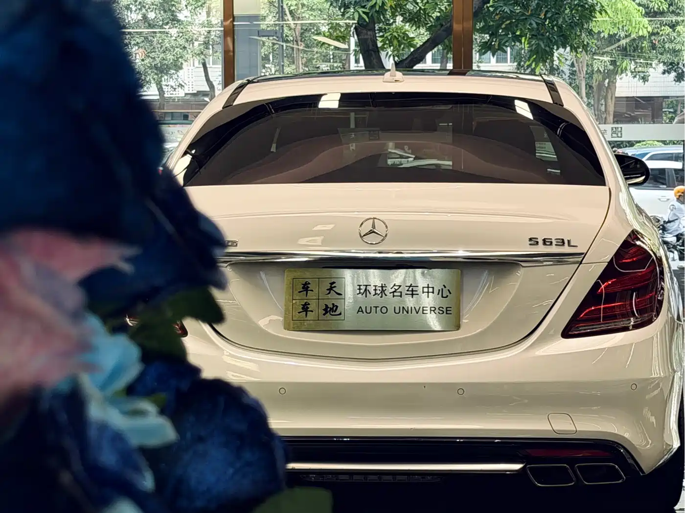 Mercedes-Benz S-Class AMG 2014 AMG S 63 L 4MATIC фото 11