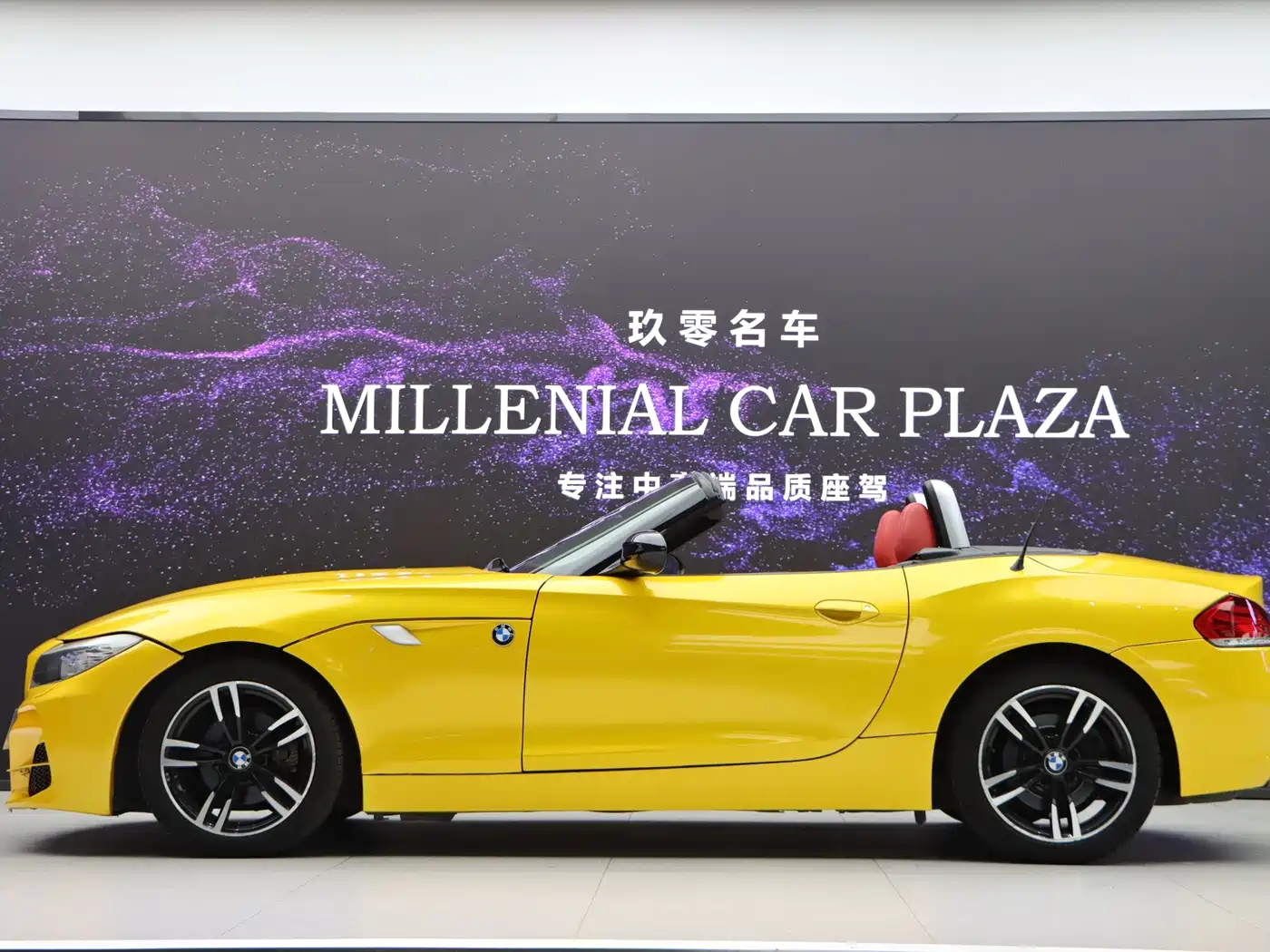 BMW Z4 2014 2013 sDrive20i Leading