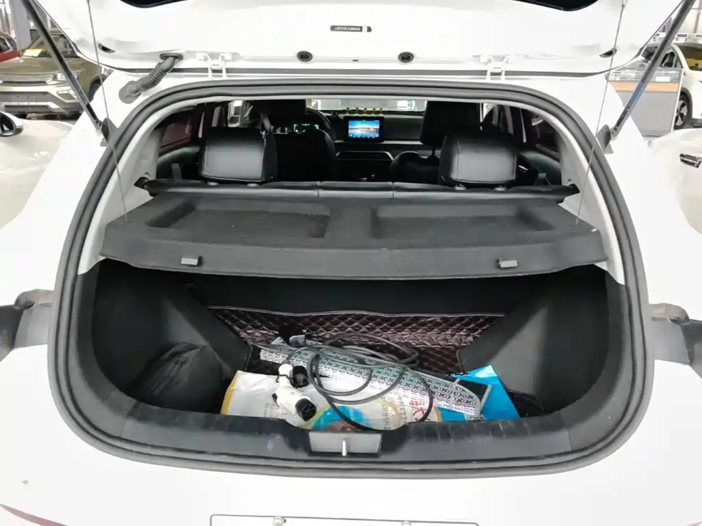 BYD e2 2020 2019 Standard Range Yue·Standard Model