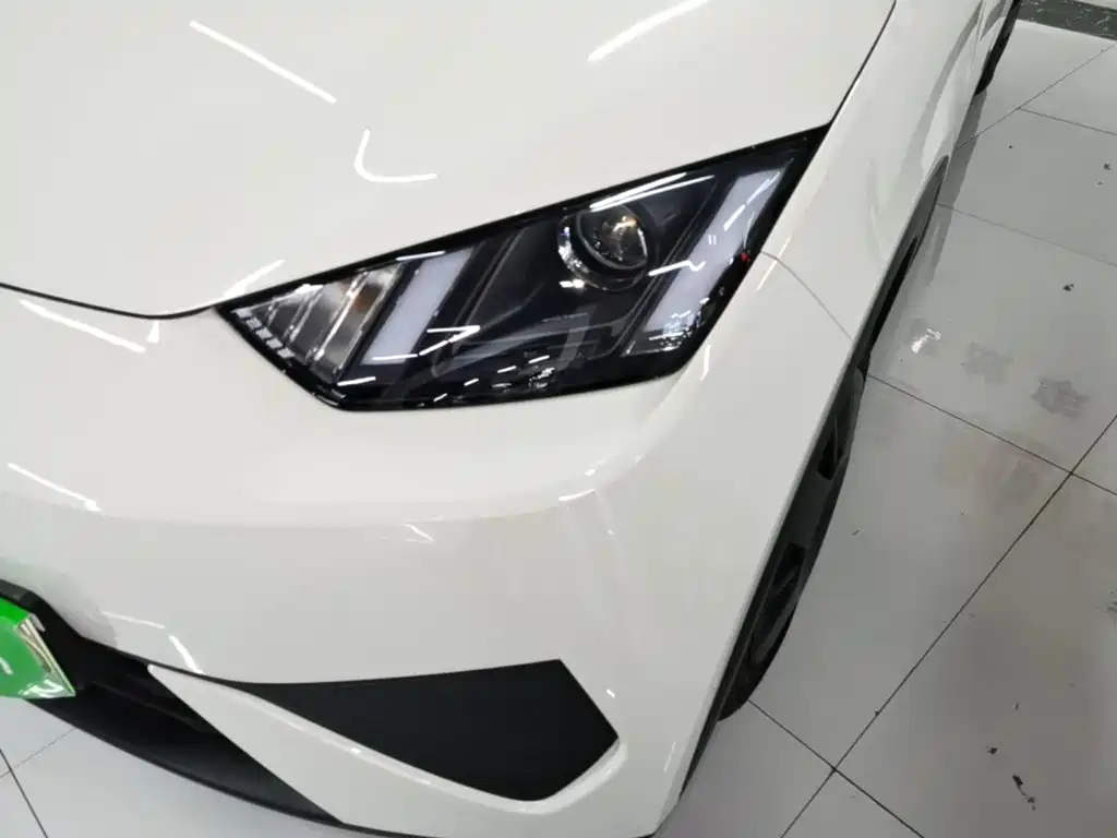 BYD Seagull 2026 2025 Smart Drive Edition 305km Vitality Version