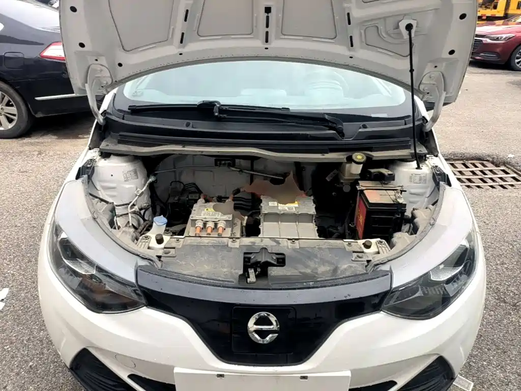 JMCG New Energy Little Kirin 2024 2022 Heartbeat Edition