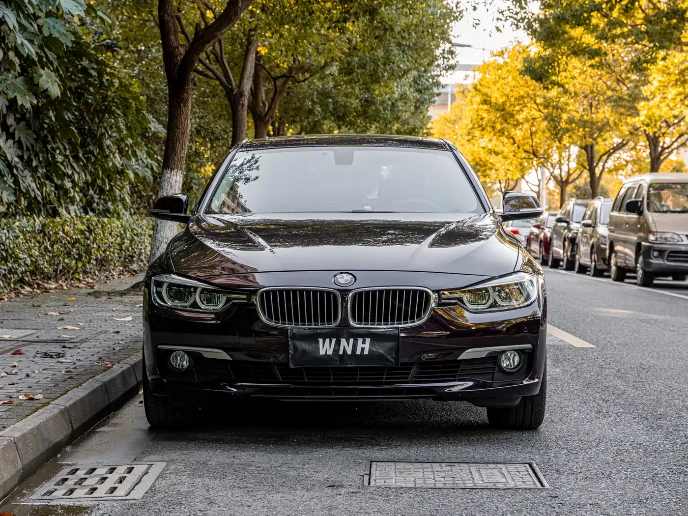 BMW 3 Series 2018 320Li Fashion Style фото 2