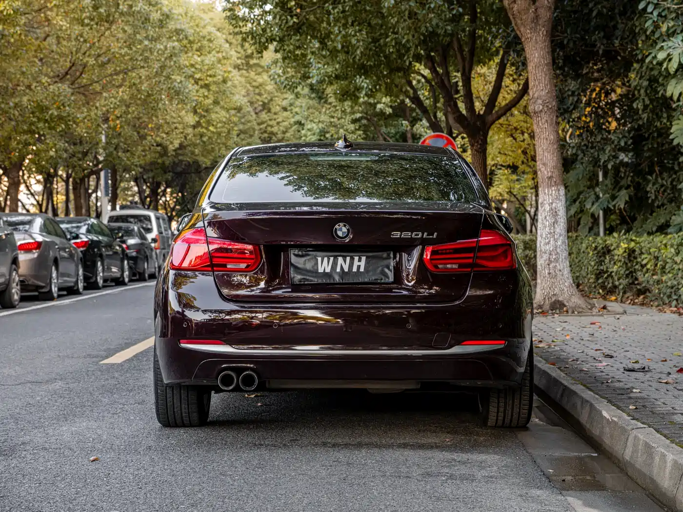 BMW 3 Series 2018 320Li Fashion Style фото 4