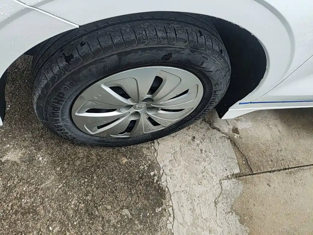 BYD e2 2021 2020 Upgrade Standard Range Standard Model