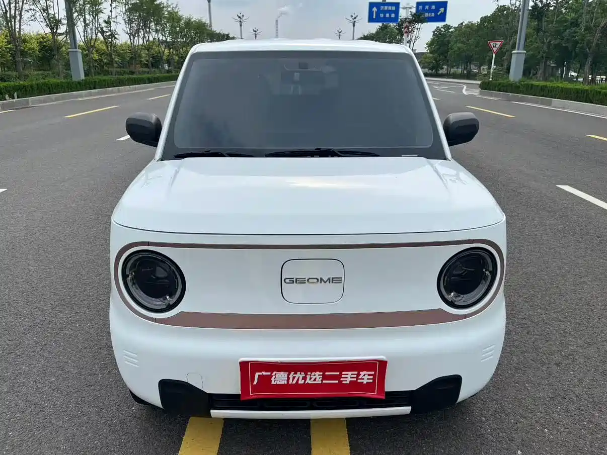 Фото 1 - Geely Galaxy Panda