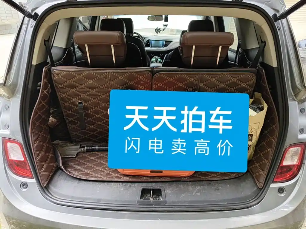 Фото 5 - Buick GL6