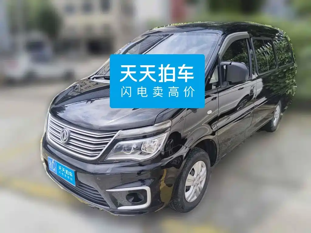 Фото 1 - Dongfeng Fengxing Lingzhi