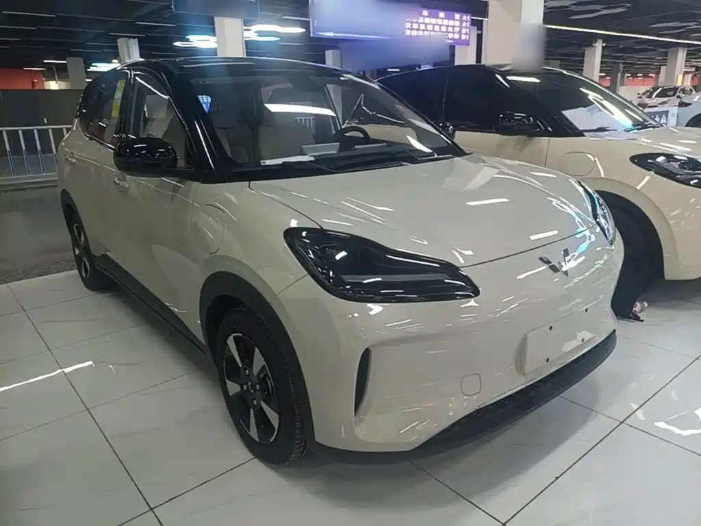 Wuling Motors Wuling Binguo PLUS 2026 2024 401km Range 5-seater