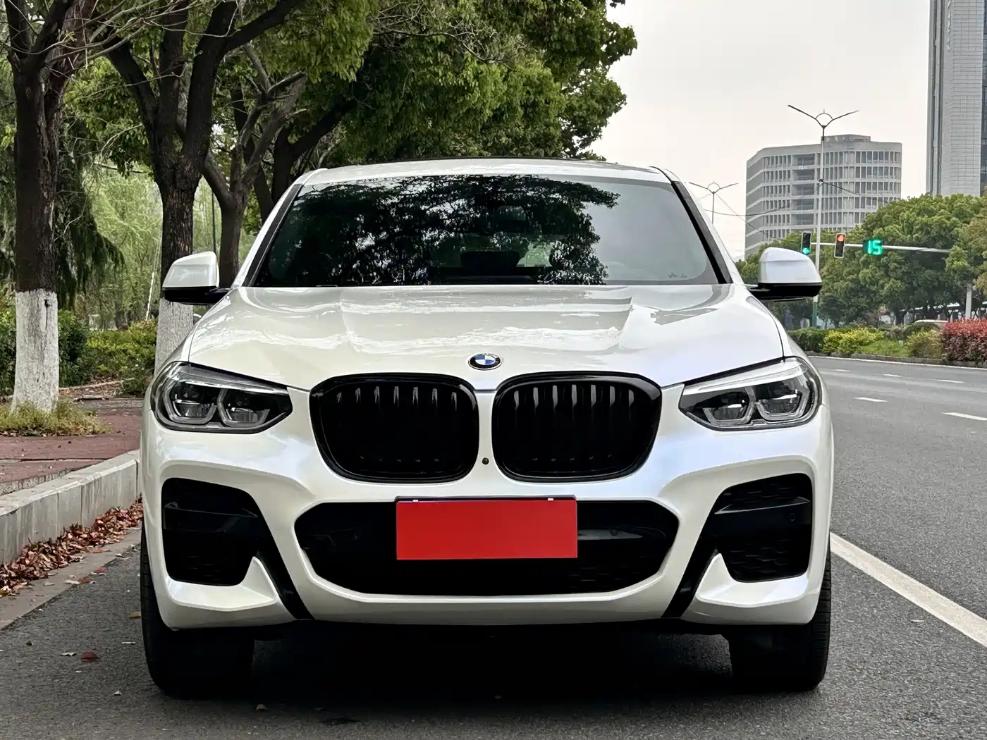 Фото 2 - BMW X4