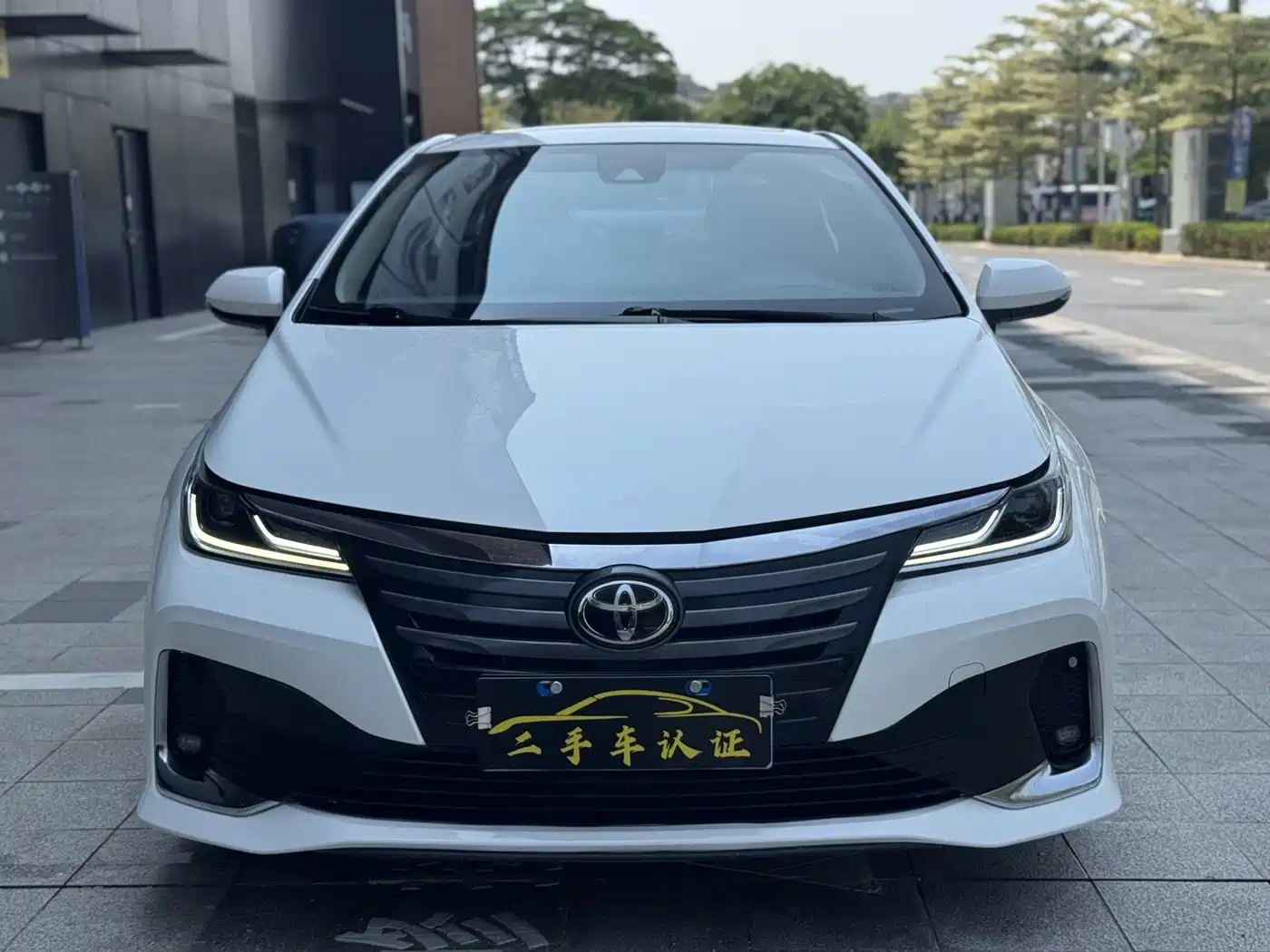 TOYOTA ASIAN LION