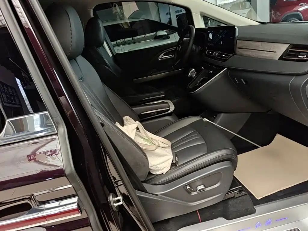 Hongqi HQ9 PHEV 2025 2024 Model 2.0T AWD Business Edition