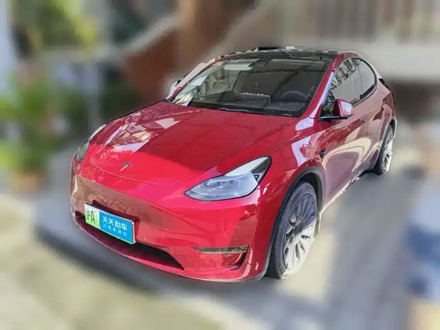Tesla Model Y 2021 Standard Range Rear-Wheel Drive — фото 1