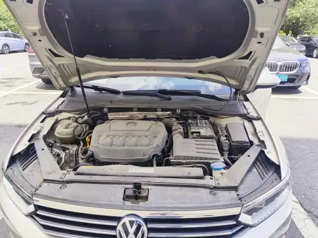 Volkswagen Magotan 2019 330TSI DSG Luxury Class China VI — фото 3