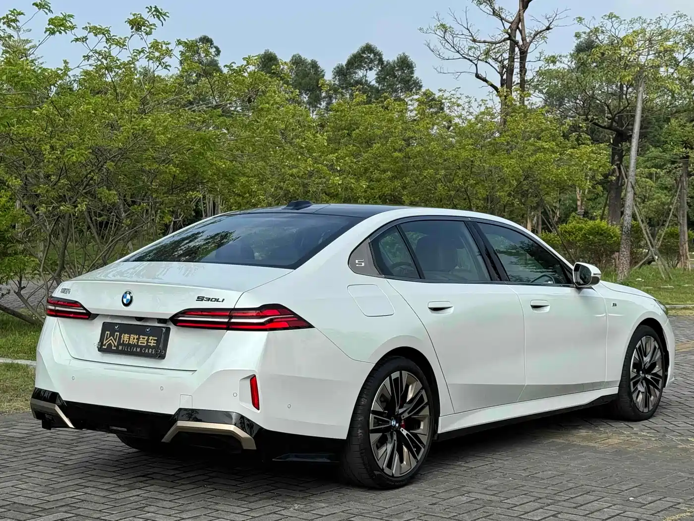 BMW 5 Series 2024 530Li Premium M Sport Package фото 8