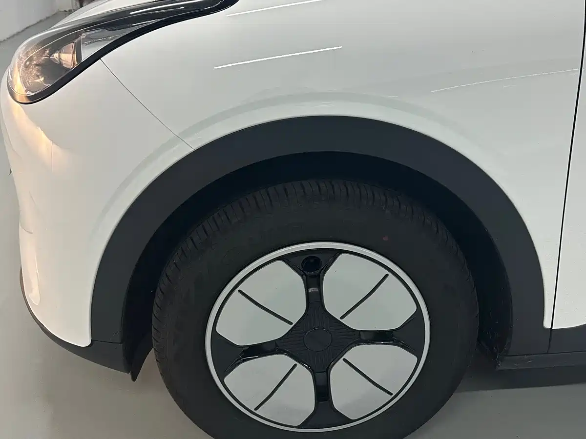 Geely Galaxy Starry Wish 2025 2025 310km Youth Edition