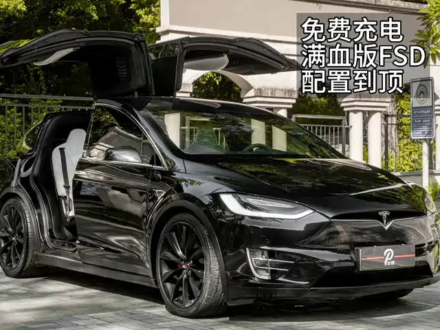  Tesla Model X 2016 Model X P100D Performance
