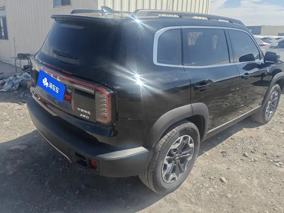 Haval Dargo 2025 2024 2.0T DCT Chinese Rural Dog Edition