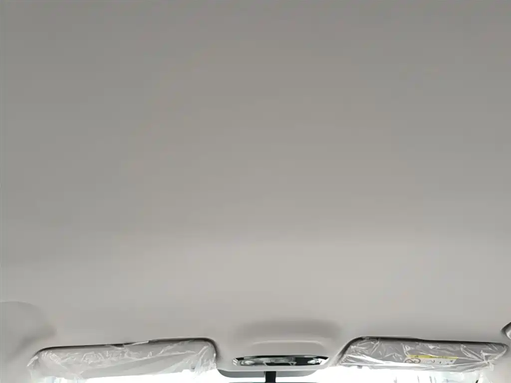 Geely Galaxy Galaxy Stellar 6 2025 Model 125km Free Edition фото 18