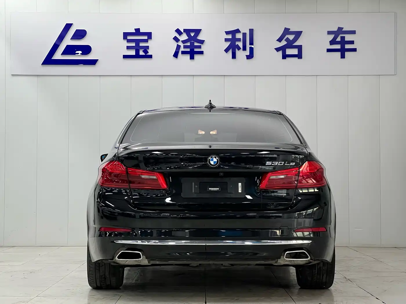 BMW 5 Series New Energy 2020 530Le Range Upgrade Luxury Package фото 4