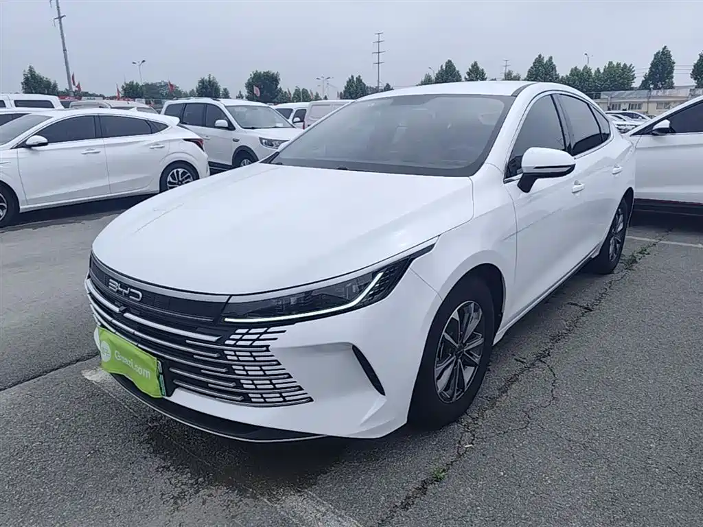 BYD Destroyer 05 2023 Champion Edition DM-i 55KM Luxury