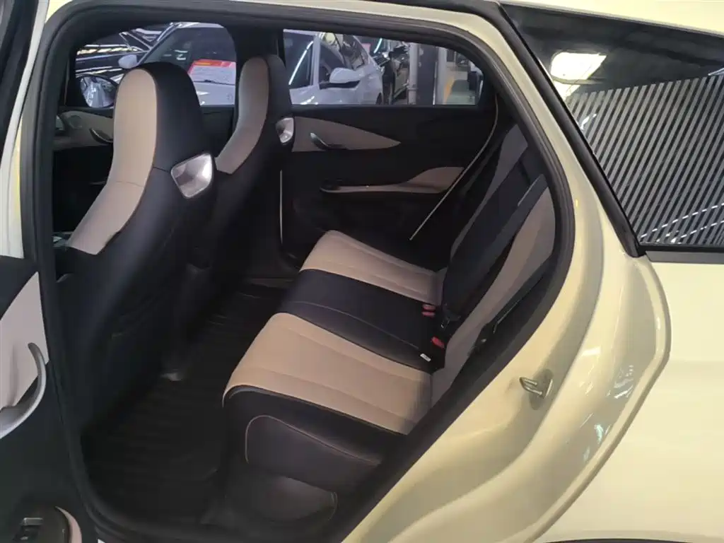 BYD Dolphin 2023 420km Fashion Edition фото 17
