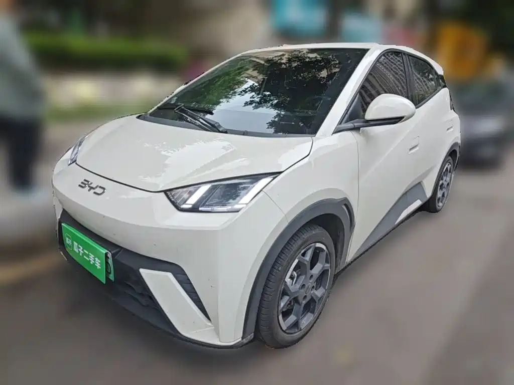 BYD Seagull 2024 Glory Edition 405km Soaring Edition фото 2