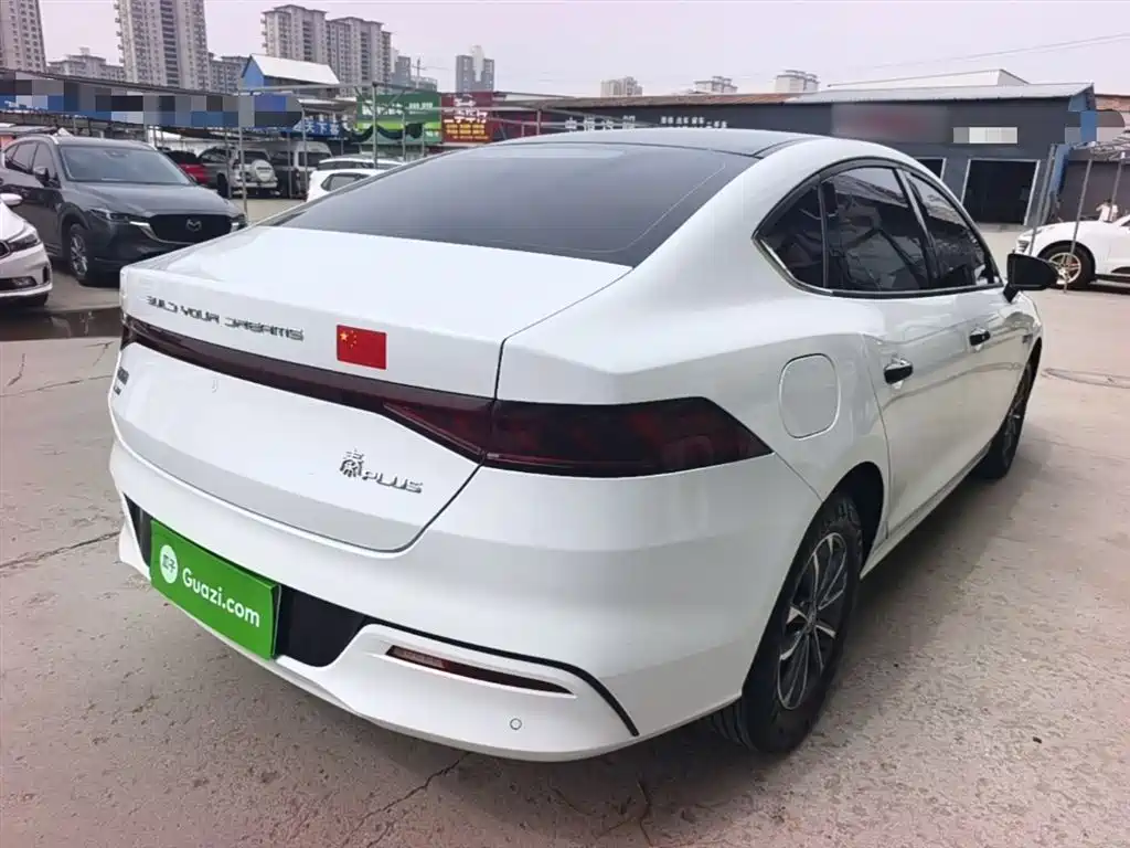 BYD Qin PLUS 2024 Glory Edition DM-i 55KM Leading фото 7