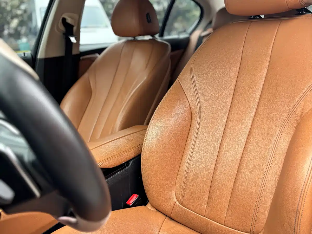BMW 5 Series 2018 530Li Leading Luxury Package фото 9