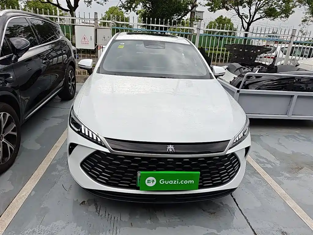 BYD Qin PLUS 2025 DM-i Smart Drive Edition 55KM Surpassing Type фото 3