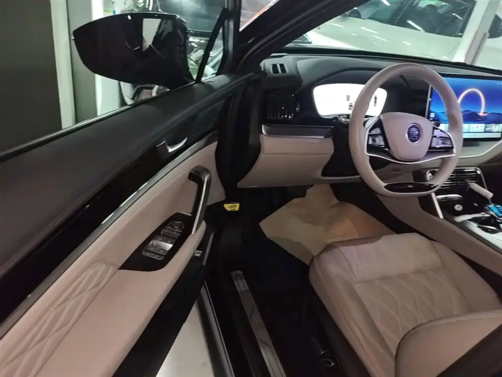 BYD Tang New Energy 2025 DM-i 115KM Premium фото 16