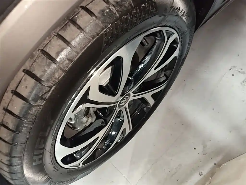 BYD Tang New Energy 2025 DM-i 115KM Premium фото 23