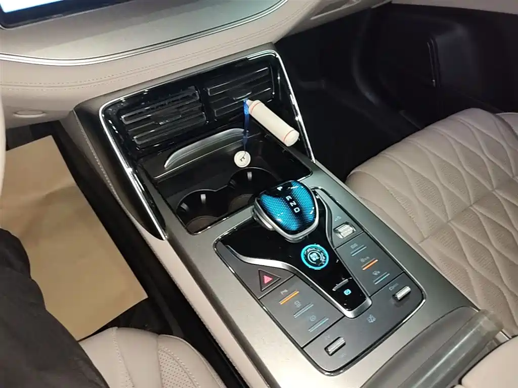 BYD Tang New Energy 2025 DM-i 115KM Premium фото 14