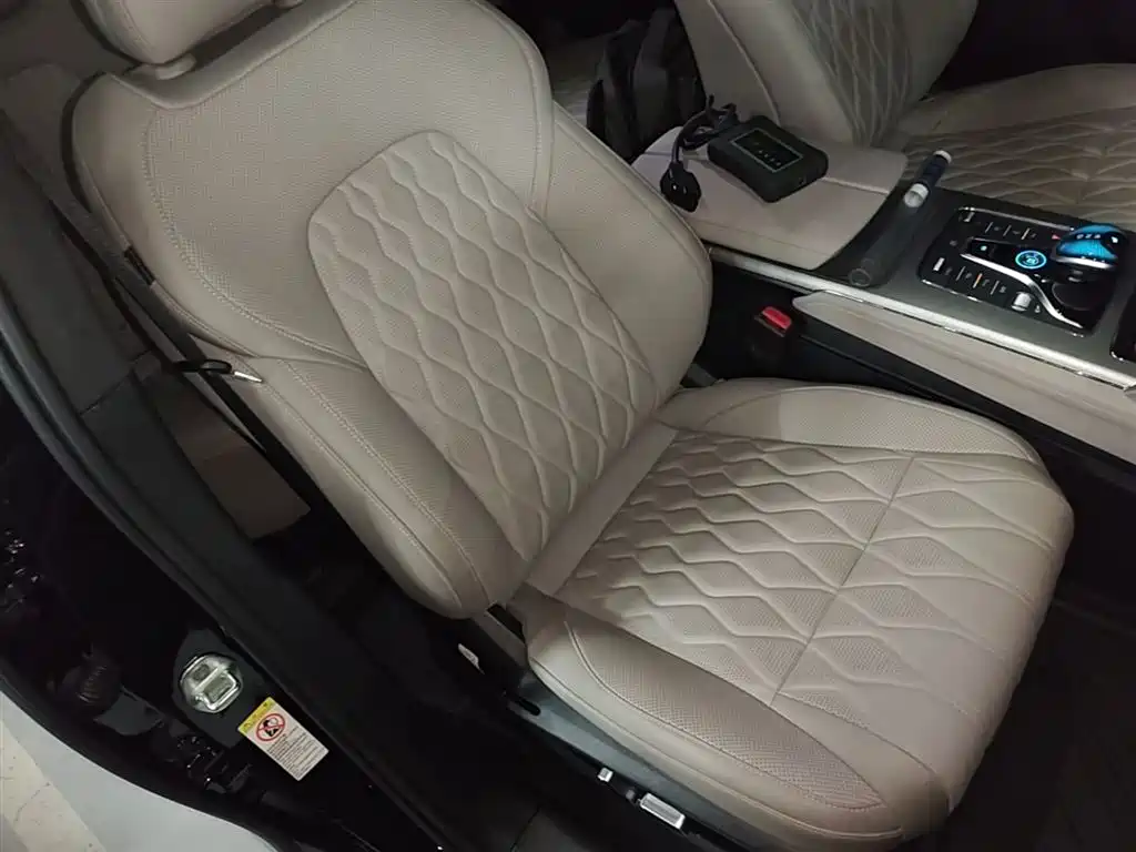 BYD Tang New Energy 2025 DM-i 115KM Premium фото 25