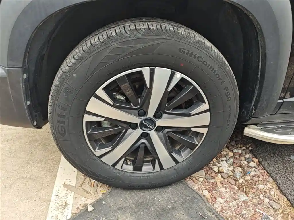 Haval Big Dog 2021 1.5T DCT 2WD Labrador Edition фото 23