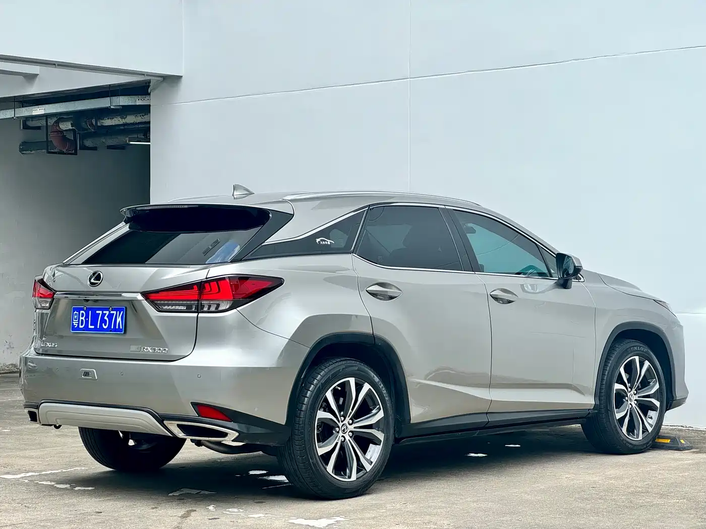 Lexus RX 2020 300 4WD Luxury Edition China VI фото 16